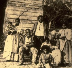 pimp family